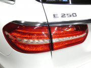 メルセデスベンツ Eクラス E250 ｽﾃｰｼｮﾝﾜｺﾞﾝ ｱﾊﾞﾝｷﾞｬﾙﾄﾞ ｽﾎﾟｰﾂ ﾚｰﾀﾞｰｾｰﾌﾃｨPKG　AMGｴｱﾛ&19ｲﾝﾁAW ｺﾝﾋﾞ革ｼｰﾄ ﾅﾋﾞTV 360度ｶﾒﾗ Aｶｰﾌﾟﾚｲ 前後ﾄﾞﾗﾚｺ ﾍｯﾄﾞｱｯﾌﾟD ﾀﾞｲﾅﾐｯｸｾﾚｸﾄ ｵｰﾄﾃｰﾙｹﾞｰﾄ ｱﾝﾋﾞｴﾝﾄﾗｲﾄ LEDﾗｲﾄ ｱﾀﾞﾌﾟﾃｨﾌﾞHB　2年保証付